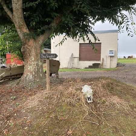 Villa The Treehut Ohauiti Exterior foto