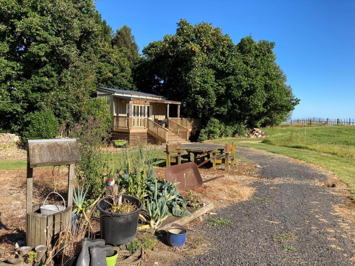 Villa The Treehut Ohauiti Exterior foto